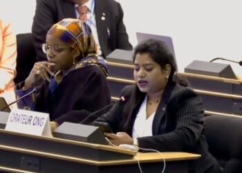 Civil Society at the UN: India’s Voice on Diversity and the Fight Against Racism